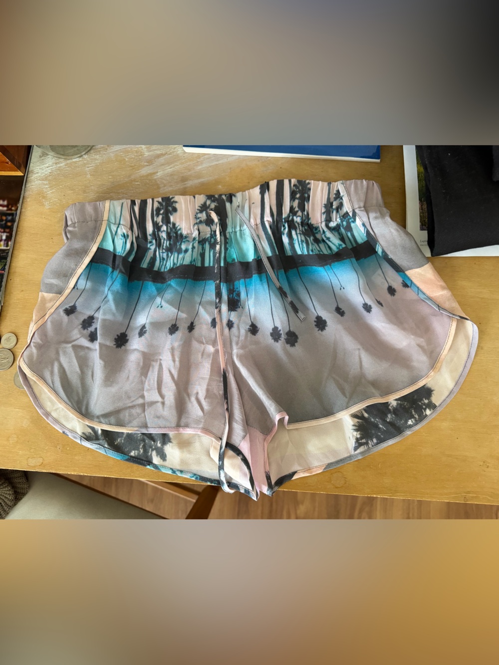Rory Beca Silk Shorts